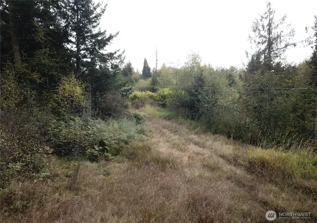 Photo 3 of Sale Pending at 0 Fern Rd, Port Angeles, WA 98362 | MLS# NWM2441248 | Listing updated on 2026-09-29