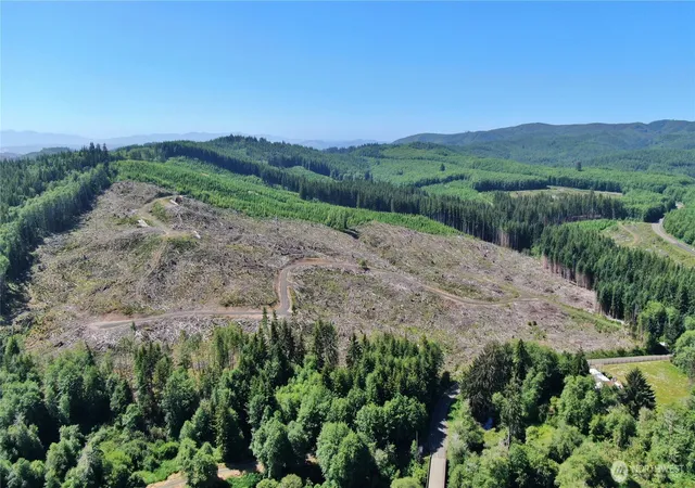 Land for sale at 0 Nka Smith Crk Rd, Raymond, WA 98577 | MLS# NWM2441641