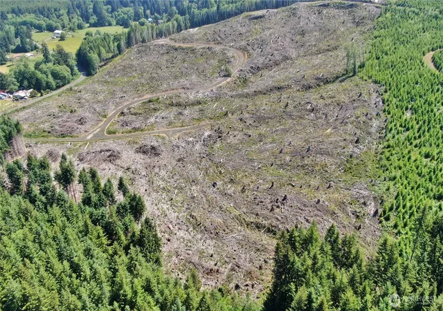 Photo 3 of Land for sale at 0 Nka Smith Crk Rd, Raymond, WA 98577 | MLS# NWM2441641 | Listing updated on 2026-09-17