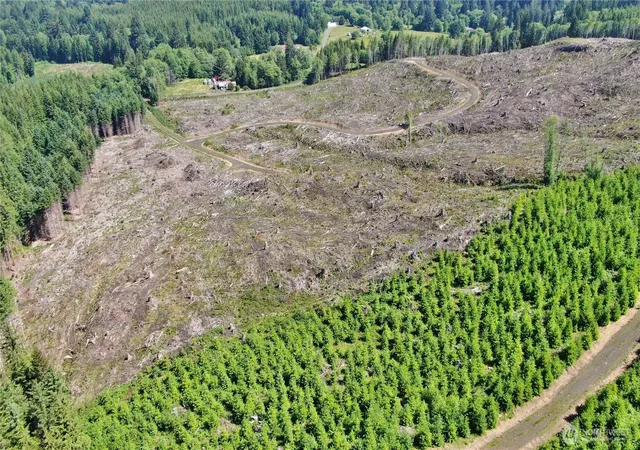 Photo 4 of Land for sale at 0 Nka Smith Crk Rd, Raymond, WA 98577 | MLS# NWM2441641 | Listing updated on 2026-09-17