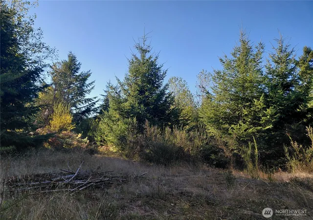 Photo 1 of Land for sale at 0 Lot 7 Buck Dr, Randle, WA 98377 | MLS# NWM2441918 | Listing updated on 2026-09-24
