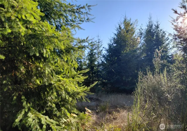 Photo 3 of Land for sale at 0 Lot 7 Buck Dr, Randle, WA 98377 | MLS# NWM2441918 | Listing updated on 2026-09-24