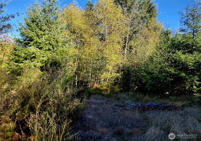 Photo 3 of Land for sale at 0 Lot 7 Buck Dr, Randle, WA 98377 | MLS# NWM2441918 | Listing updated on 2026-09-24