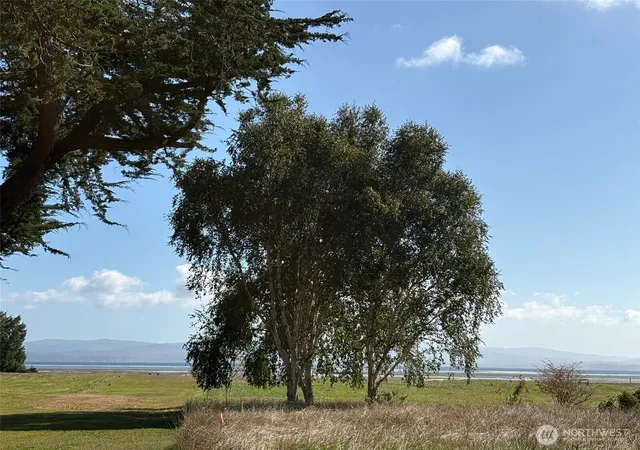Photo 3 of Land for sale at 33880 Territory Rd, Oysterville, WA 98641 | MLS# NWM2442163 | Listing updated on 2026-09-17