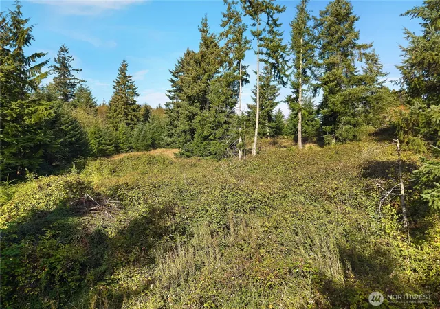 Photo 3 of Land for sale at 0 Rogers Rd #1, Kalama, WA 98625 | MLS# NWM2442172 | Listing updated on 2026-09-17
