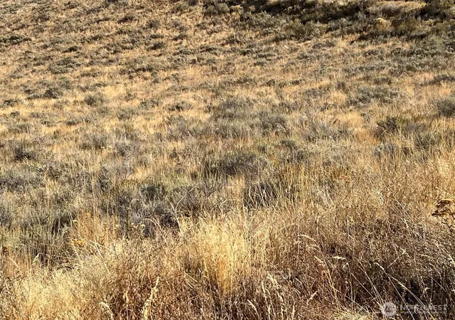 Photo 4 of Land for sale at 0 Nna Mountain Spring Rd, Orondo, WA 98843 | MLS# NWM2442462 | Listing updated on 2026-09-17