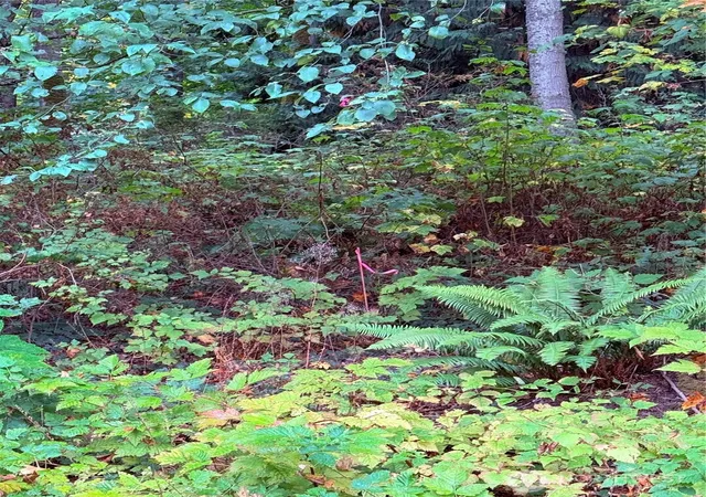 Photo 4 of Land for sale at 106 A Port Susan Dr, Everett, WA 98201 | MLS# NWM2443048 | Listing updated on 2026-09-17