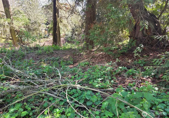 Photo 2 of Land for sale at 12 W Gedney Way, Hat Island, WA 98206 | MLS# NWM2444562 | Listing updated on 2026-09-17