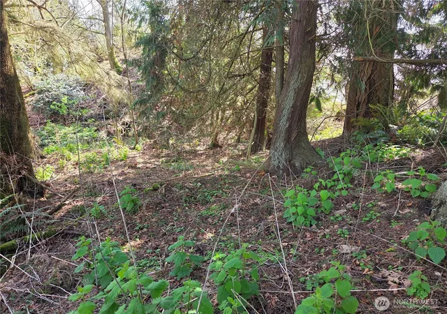 Photo 3 of Land for sale at 12 W Gedney Way, Hat Island, WA 98206 | MLS# NWM2444562 | Listing updated on 2026-09-17