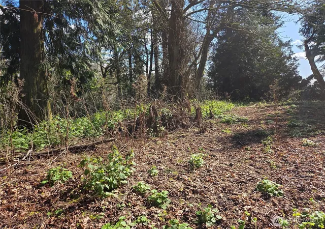 Photo 4 of Land for sale at 12 W Gedney Way, Hat Island, WA 98206 | MLS# NWM2444562 | Listing updated on 2026-09-17
