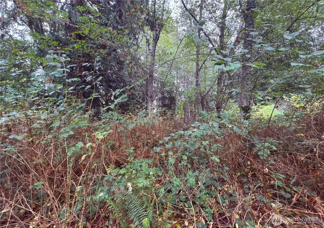 Photo 3 of Land for sale at 18 M Olympic Dr, Hat Island, WA 98206 | MLS# NWM2444563 | Listing updated on 2026-09-17