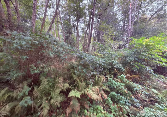 Photo 3 of Land for sale at 32 E Port Gardner Dr, Everett, WA 98201 | MLS# NWM2444564 | Listing updated on 2026-09-17