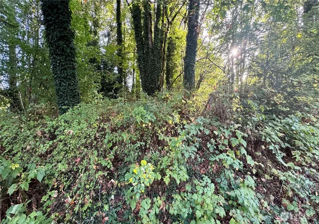 Photo 4 of Land for sale at 0 Lt 14&15 Cape Horn Dr, Concrete, WA 98237 | MLS# NWM2444729 | Listing updated on 2026-09-17