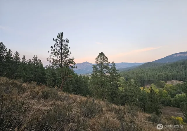 Photo 4 of Land for sale at 2 D Swauk Pines Rd, Cle Elum, WA 98922 | MLS# NWM2444970 | Listing updated on 2026-09-17