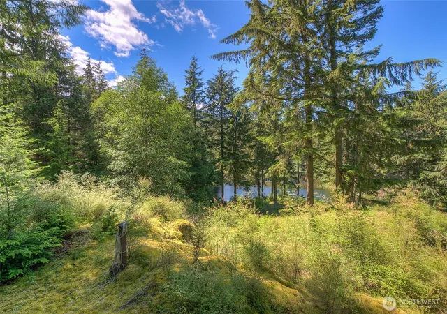 Photo 2 of Land for sale at 212 Eagle Lake Ln, Olga, WA 98279 | MLS# NWM2445109 | Listing updated on 2026-09-17