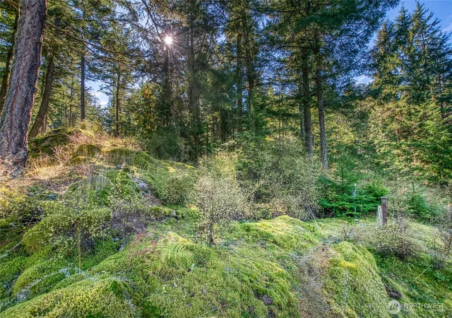 Photo 3 of Land for sale at 212 Eagle Lake Ln, Olga, WA 98279 | MLS# NWM2445109 | Listing updated on 2026-09-17