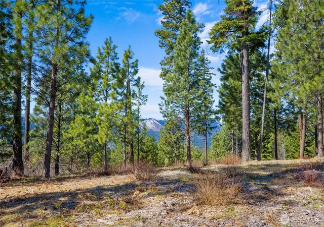 Photo 3 of Land for sale at 10 Red Sky Way, Cle Elum, WA 98922 | MLS# NWM2445395 | Listing updated on 2026-09-17