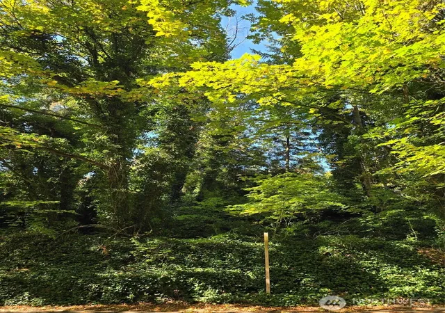 Photo 3 of Land for sale at 0 37th Place S, Sea Tac, WA 98198 | MLS# NWM2445716 | Listing updated on 2026-09-17
