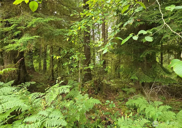 Photo 3 of Land for sale at 0 Lund Rd, Cosmopolis, WA 98537 | MLS# NWM2446017 | Listing updated on 2026-09-17