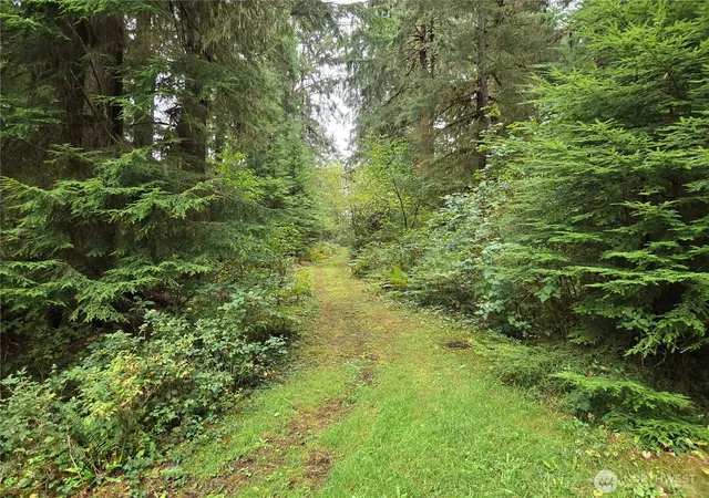 Photo 4 of Land for sale at 0 Lund Rd, Cosmopolis, WA 98537 | MLS# NWM2446017 | Listing updated on 2026-09-17