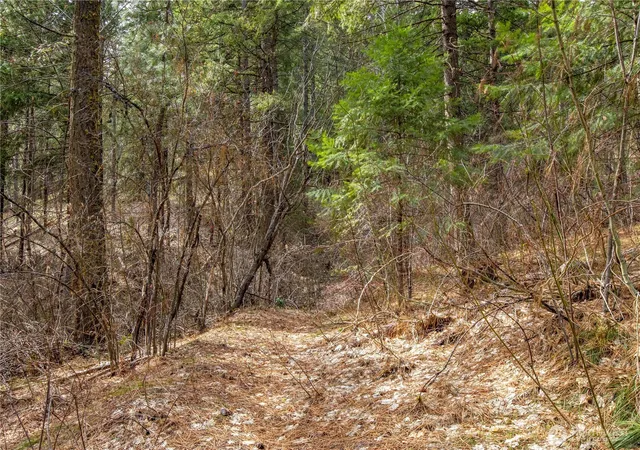 Photo 1 of Land for sale at 1 Chumstick Hwy, Leavenworth, WA 98826 | MLS# NWM2446113 | Listing updated on 2026-09-17