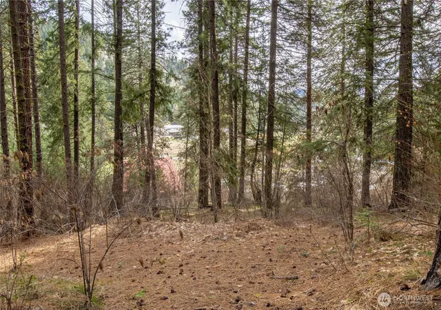Photo 2 of Land for sale at 1 Chumstick Hwy, Leavenworth, WA 98826 | MLS# NWM2446113 | Listing updated on 2026-09-17