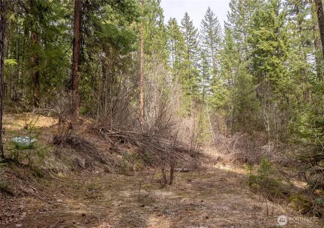 Photo 3 of Land for sale at 1 Chumstick Hwy, Leavenworth, WA 98826 | MLS# NWM2446113 | Listing updated on 2026-09-17