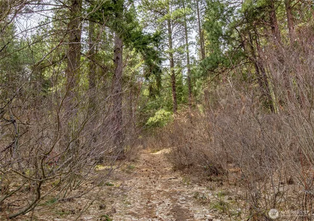 Photo 3 of Land for sale at 1 Chumstick Hwy, Leavenworth, WA 98826 | MLS# NWM2446113 | Listing updated on 2026-09-17