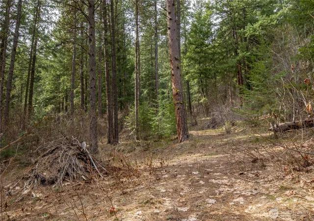 Photo 4 of Land for sale at 1 Chumstick Hwy, Leavenworth, WA 98826 | MLS# NWM2446113 | Listing updated on 2026-09-17