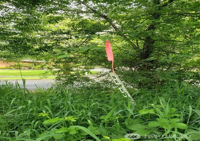 Photo 3 of Land for sale at 11 Xx 6th Ave SE, Issaquah, WA 98027 | MLS# NWM2446625 | Listing updated on 2026-09-17