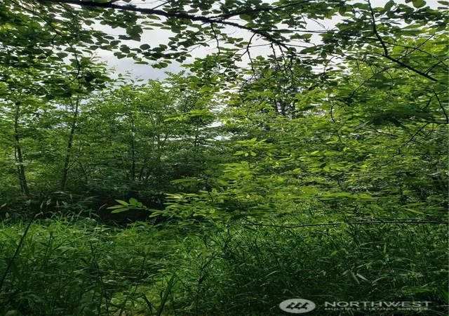 Photo 4 of Land for sale at 11 Xx 6th Ave SE, Issaquah, WA 98027 | MLS# NWM2446625 | Listing updated on 2026-09-17