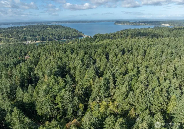 Photo 3 of Land for sale at 10602 Vantage Dr, Anderson Island, WA 98303 | MLS# NWM2446700 | Listing updated on 2026-09-18