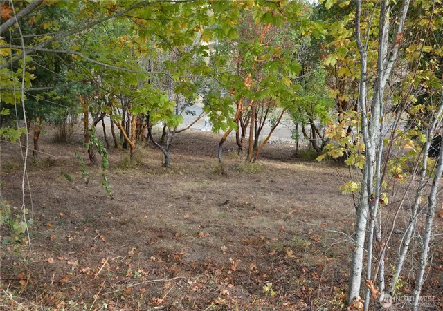 Photo 3 of Land for sale at 999 Moonlight Dr, Sequim, WA 98382 | MLS# NWM2446703 | Listing updated on 2026-09-17