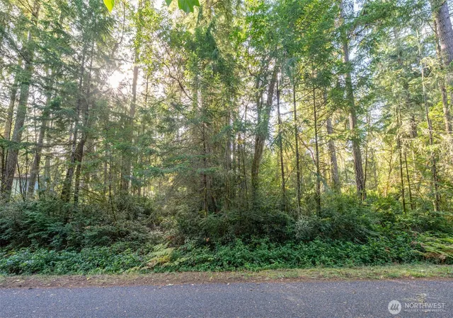 Photo 1 of Land for sale at 11316 Breaker Way, Anderson Island, WA 98303 | MLS# NWM2446719 | Listing updated on 2026-09-18