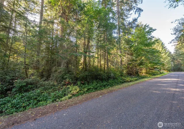 Photo 3 of Land for sale at 11316 Breaker Way, Anderson Island, WA 98303 | MLS# NWM2446719 | Listing updated on 2026-09-18