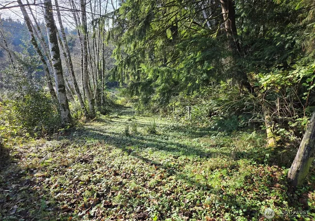 Photo 3 of Land for sale at 0 Nka Kendrick And Wier St, South Bend, WA 98586 | MLS# NWM2447222 | Listing updated on 2026-09-17