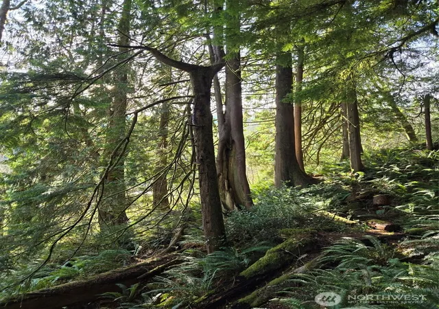 Photo 4 of Land for sale at 0 Nka Kendrick And Wier St, South Bend, WA 98586 | MLS# NWM2447222 | Listing updated on 2026-09-17
