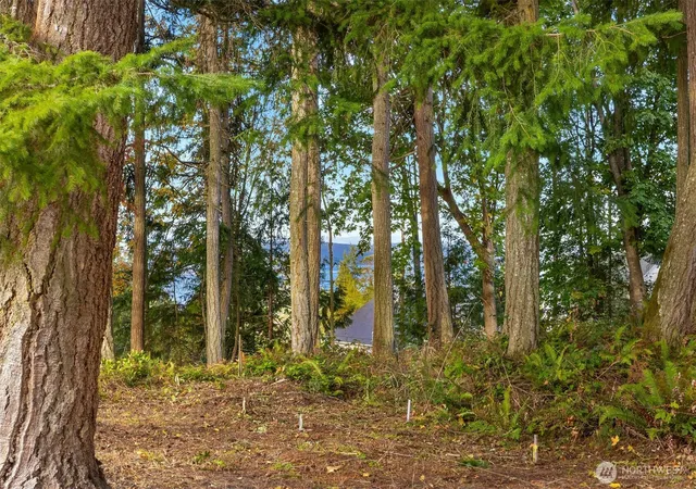 Photo 3 of Land for sale at 34464 Brg View Dr Ne, Kingston, WA 98346 | MLS# NWM2447452 | Listing updated on 2026-09-17
