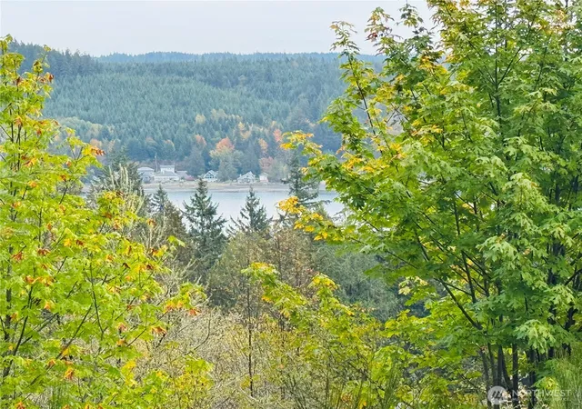 Photo 1 of Land for sale at 181 E Rainier Ct, Allyn, WA 98524 | MLS# NWM2447522 | Listing updated on 2026-09-17