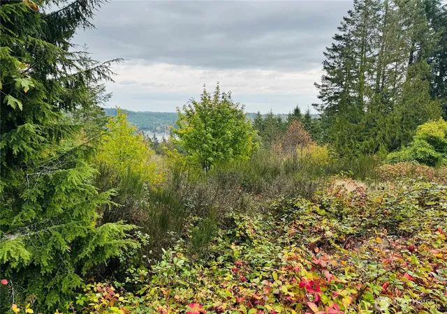 Photo 2 of Land for sale at 181 E Rainier Ct, Allyn, WA 98524 | MLS# NWM2447522 | Listing updated on 2026-09-17