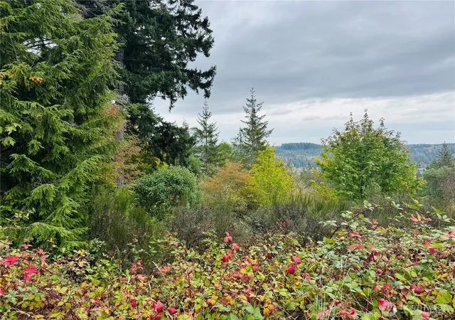 Photo 3 of Land for sale at 181 E Rainier Ct, Allyn, WA 98524 | MLS# NWM2447522 | Listing updated on 2026-09-17