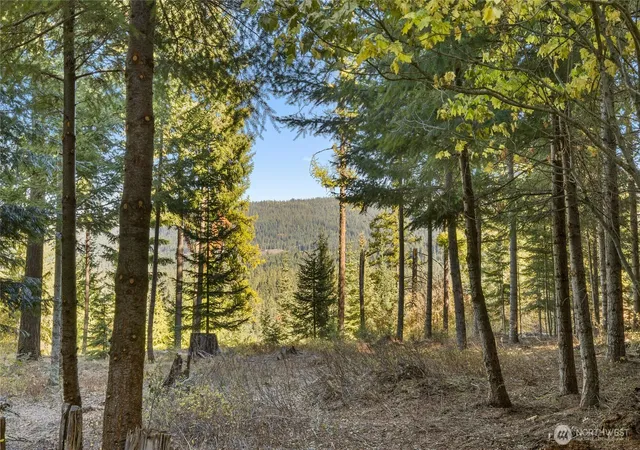 Photo 4 of Land for sale at 430 Iron Monarch Loop, Cle Elum, WA 98922 | MLS# NWM2447914 | Listing updated on 2026-09-17