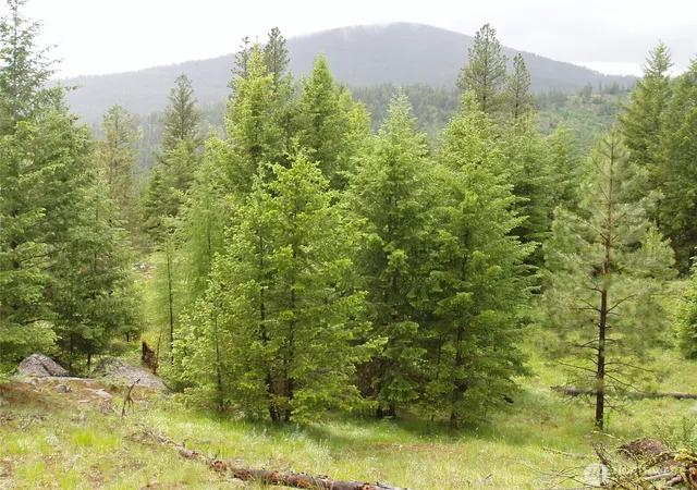 Photo 2 of Land for sale at 0 Xxx Turner Lake Rd N, Tonasket, WA 98855 | MLS# NWM2447990 | Listing updated on 2026-09-17