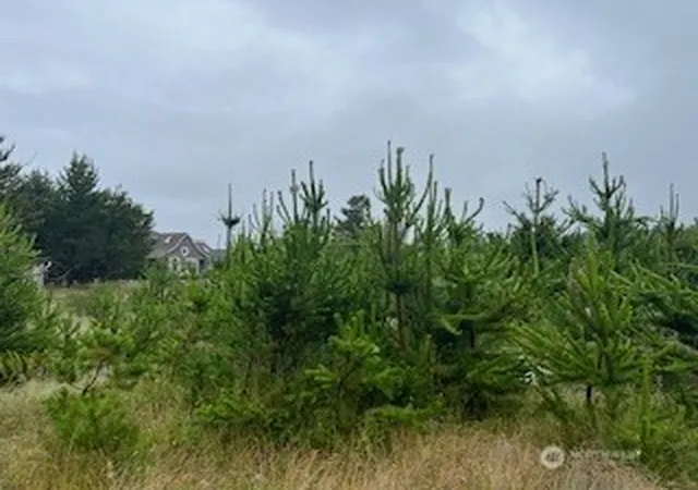 Photo 2 of Land for sale at 806 318th Place, Ocean Park, WA 98640 | MLS# NWM2448202 | Listing updated on 2026-09-17