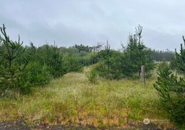 Photo 3 of Land for sale at 806 318th Place, Ocean Park, WA 98640 | MLS# NWM2448202 | Listing updated on 2026-09-17