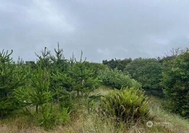 Photo 4 of Land for sale at 806 318th Place, Ocean Park, WA 98640 | MLS# NWM2448202 | Listing updated on 2026-09-17