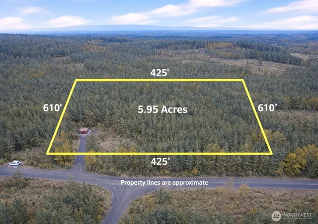 Photo 4 of Land for sale at 131 Kuty Dr, Toledo, WA 98591 | MLS# NWM2448456 | Listing updated on 2026-09-17