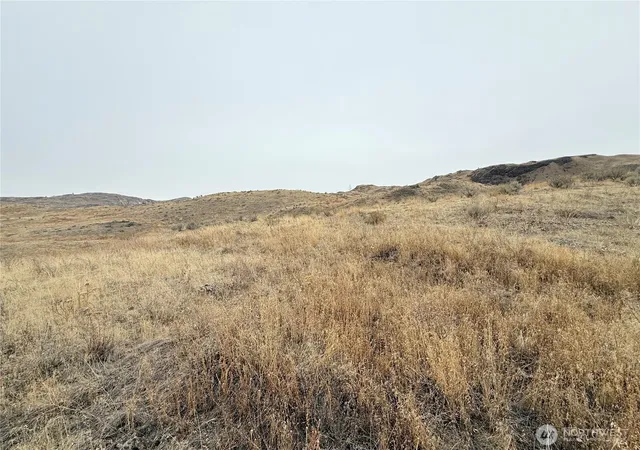 Photo 3 of Land for sale at 161 Weatherstone Rd, Riverside, WA 98849 | MLS# NWM2449305 | Listing updated on 2026-09-17