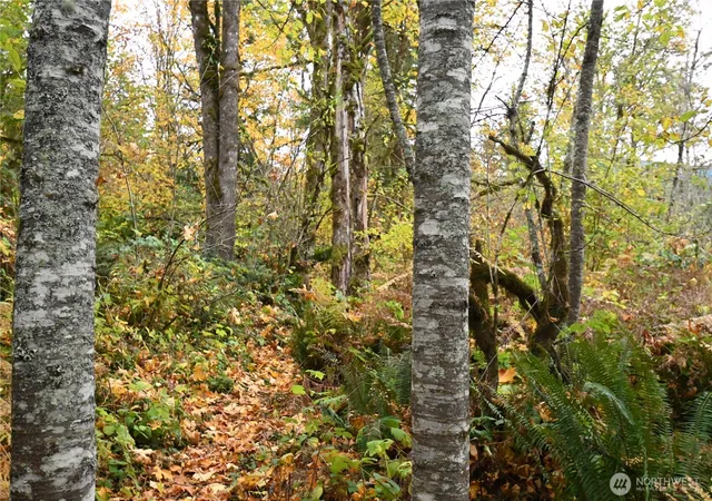 Photo 3 of Land for sale at 0 Ley Rd, Gold Bar, WA 98251 | MLS# NWM2450995 | Listing updated on 2026-09-17