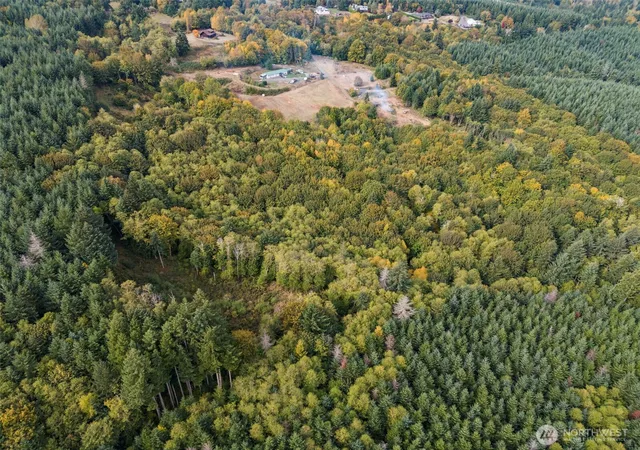 Photo 4 of Land for sale at 251 48 Crego Hl Rd, Chehalis, WA 98532 | MLS# NWM2451026 | Listing updated on 2026-09-17